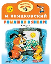 Ромашки в январе
