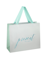 Пакет подарочный &quot;Tender present silver&quot;, 32x26x12 см