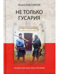 Не только гусария. Неизвестное лицо польской армии