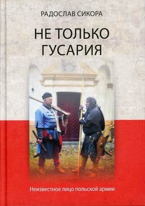 Не только гусария. Неизвестное лицо польской армии