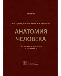Анатомия человека