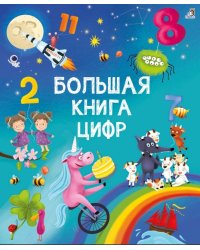 Большая книга цифр
