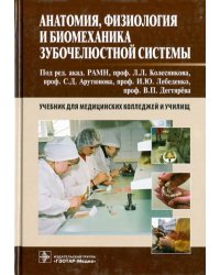 Анатомия, физиология и биомеханика зубочелюстной системы