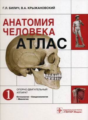 Анатомия человека: атлас. Учебное пособие. В 3-х томах. Том 1: Опорно-двигательный аппарат. Остеология; Синдесмология; Миология