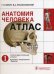 Анатомия человека: атлас. Учебное пособие. В 3-х томах. Том 1: Опорно-двигательный аппарат. Остеология; Синдесмология; Миология