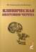 Обложка книги «Клиническая анатомия черепа. Учебное пособие» — Гайворонский И.В., ISBN 9785939791250