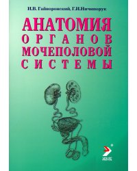 Анатомия органов мочеполовой системы. Учебное пособие