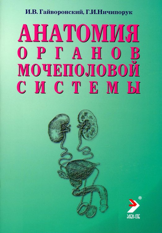 Анатомия органов мочеполовой системы. Учебное пособие