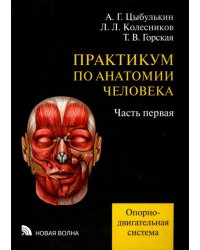 Практикум по анатомии человека. В 4-х частях. Часть 1. Опорно-двигательная система
