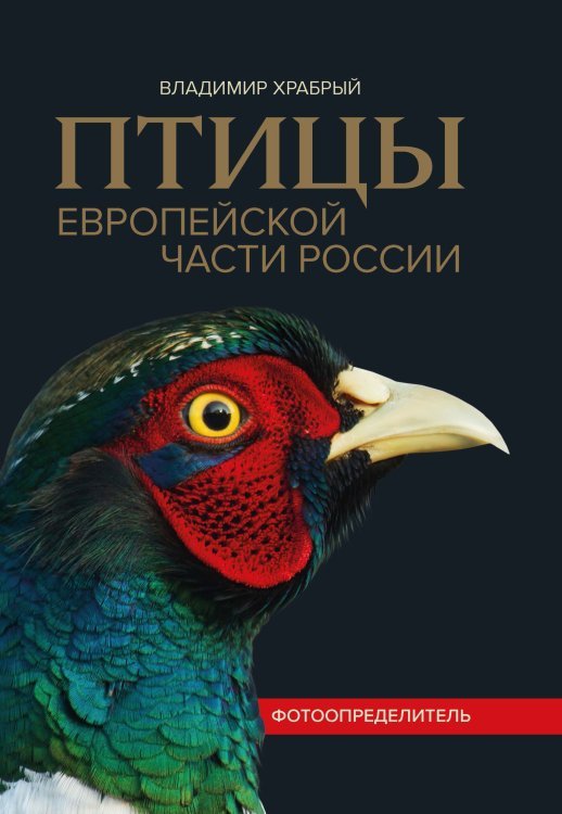 Феникс - атлас Птицы Европейской части России. Фотоопределитель