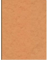 Тетрадь для записей "Essentials", 96л, нелинованная, цвет: коричневый