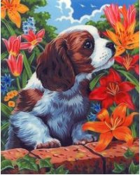 Картина по номерам "Собачка", 30x40 см