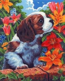 Картина по номерам "Собачка", 30x40 см