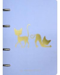 Тетрадь на кольцах "Кошки", А5, 100 листов, клетка, арт. 10812-EAC