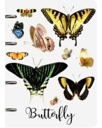 Тетрадь на кольцах "Butterfly Sev", А5, 80 листов, клетка, арт. 10826-EAC