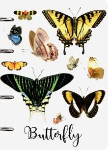 Тетрадь на кольцах "Butterfly Sev", А5, 80 листов, клетка, арт. 10826-EAC