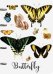 Тетрадь на кольцах "Butterfly Sev", А5, 80 листов, клетка, арт. 10826-EAC