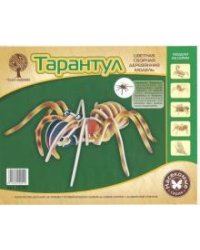 Сборная деревянная модель. Тарантул