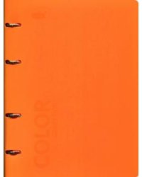 Тетрадь на кольцах со сменным блоком "Orange" (А5, 120 листов, клетка)