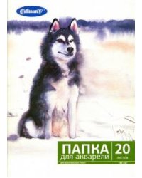 Папка для акварели "Собака" (20 листов, А4) (FK-4420)