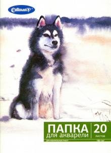 Папка для акварели "Собака" (20 листов, А4) (FK-4420)