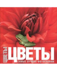Цветы. Самые лучшие фотографии