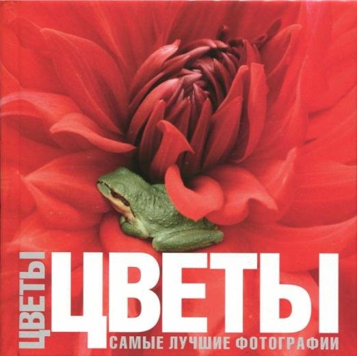 Цветы. Самые лучшие фотографии