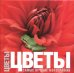 Цветы. Самые лучшие фотографии