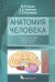 Анатомия человека. Учебник. В 3-х томах. Том 3