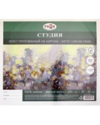 Холст "Студия" (30х35 см, мелкое зерно) (280818_05)
