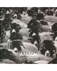 Альбом для набросков. Овцы, 80 листов