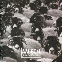 Альбом для набросков. Овцы, 80 листов