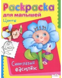 Цветы. Синеглазый василек