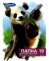 Папка для рисования "Панда", 10 листов, А4 (FK-2410)