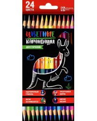 Карандаши цветные Кенгуру, трехгранные, двусторонние, 24 цвета