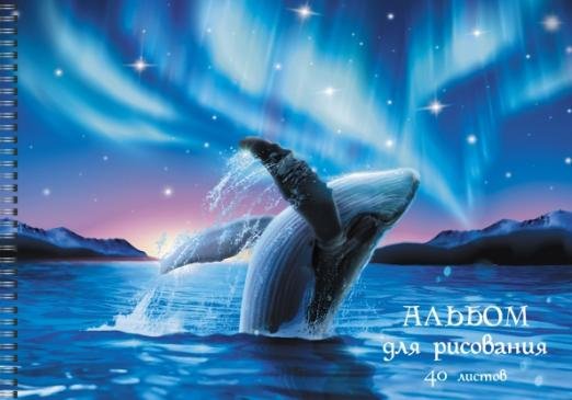Альбом для рисования Северное сияние, А4, 40 листов