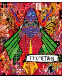 Тетрадь предметная. Граффити. Геометрия, 48 листов
