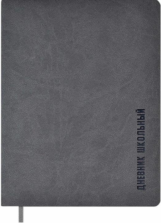 Дневник школьный. Темно-серый, 48 листов