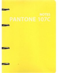 Тетрадь на кольцах Pantone line 2, 120 листов, клетка