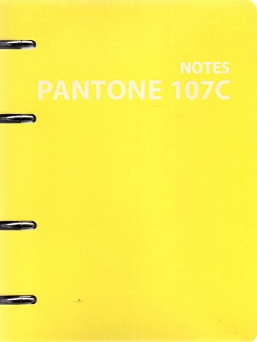 Тетрадь на кольцах Pantone line 2, 120 листов, клетка