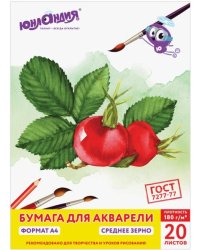 Папка для акварели Юнландик на даче, 20 листов, А4