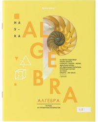 Тетрадь предметная. VISION. Алгебра, 48 листов
