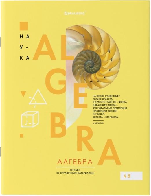 Тетрадь предметная. VISION. Алгебра, 48 листов