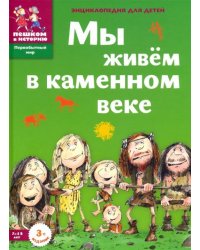 Мы живём в каменном веке