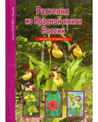 Растения из Красной книги России