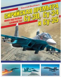 Сирийская премьера. Многоцелевые самолеты Су-30, Су-34 и Су-35
