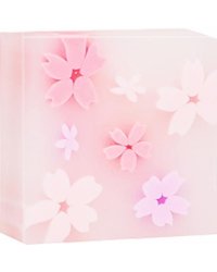Ластик Deli Sakura, квадратный, в ассортименте