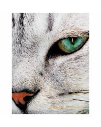 Дневник школьный. Котик