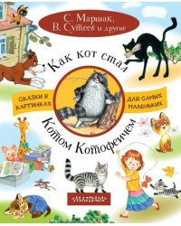 Как кот стал Котом-Котофеичем