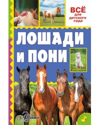 Лошади и пони